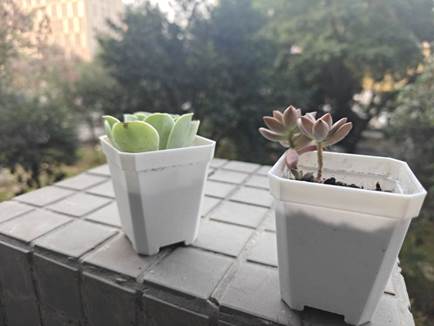 QQ图片20251201091703